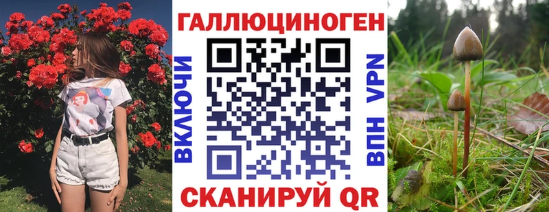 Галлюциногенные грибы MAGIC MUSHROOMS  Кудрово 